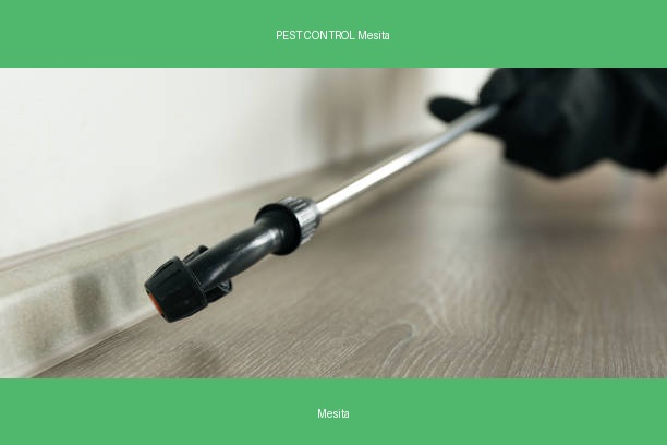 PEST CONTROL Mesita